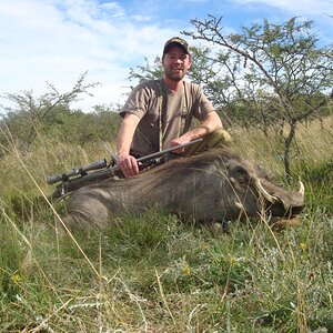 South Africa Hunting Warthog