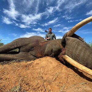 Namibia Hunt Elephant