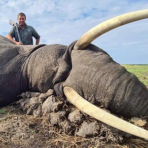 Hunting Elephant in Namibia