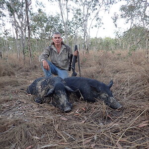 Boar Hunting Australia