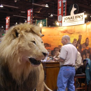 Taxidermy at Safari Club International Convention