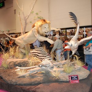 Taxidermy at Safari Club International Convention