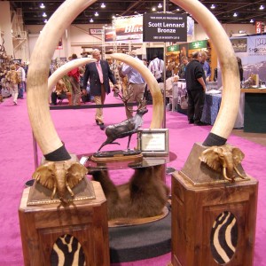 Taxidermy at Safari Club International Convention