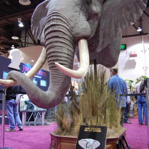 Taxidermy at Safari Club International Convention