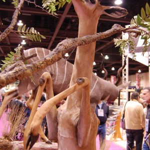 Taxidermy at Safari Club International Convention