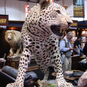 Taxidermy at Safari Club International Convention