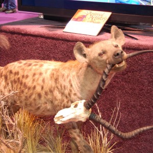 Taxidermy at Safari Club International Convention