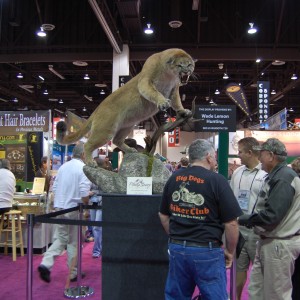 Taxidermy at Safari Club International Convention