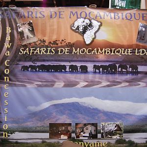 Safaris de Mocambique