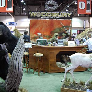 Woodbury Taxidermy