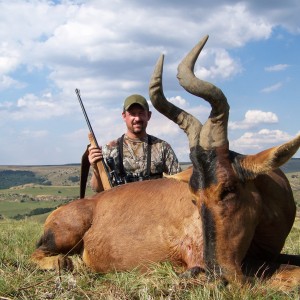 Hunting Hartebeest