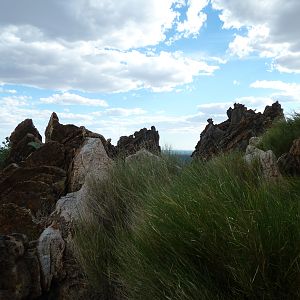 Hunting Ozondjahe in Namibia