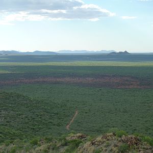 Hunting Ozondjahe in Namibia