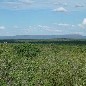 Hunting at Ozondjahe in Namibia