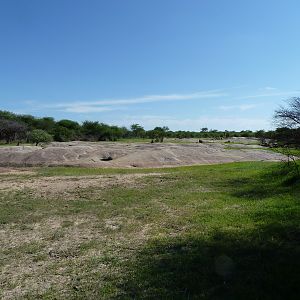 Bushmen rock engraving area in Namibia