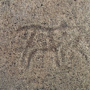 Bushmen rock engraving of antelope in Namibia