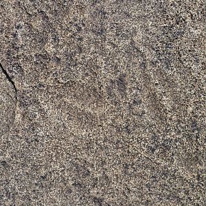 Animal tracks in the rock in Namibia