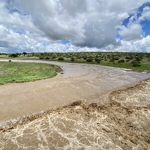 Rivers Flowing After Good Rains  2021