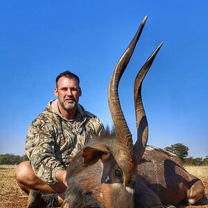 Nyala Hunt South Africa