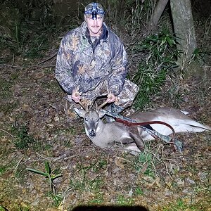 Whitetail Buck Hunt