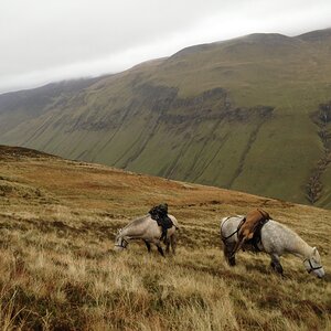 Scottish Highlands