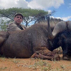 Buffalo Hunt South Africa