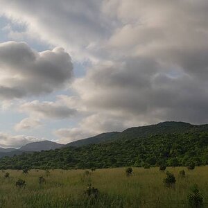 Limpopo Nature South Africa