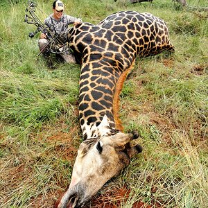 Hunting Black Giraffe South Africa