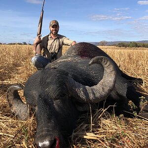 Buffalo Hunt