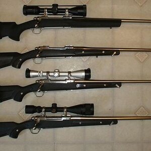 Ruger Hawkeye Rifle