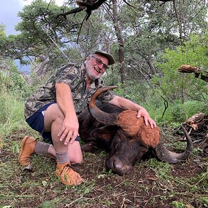 Buffalo Bull Hunt South Africa