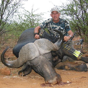 Bow Hunting Cape Buffalo