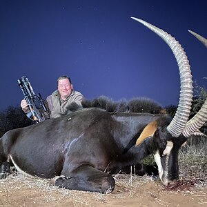 Sable Hunting South Africa