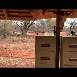 Hunting South Africa With Tally-Ho HUNTING SAFARIS Promo Video
