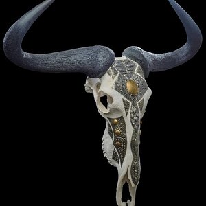 Wildebeest Blue Skull