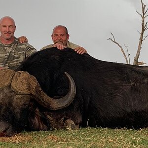 Buffalo Hunting South Africa | AfricaHunting.com