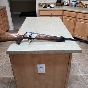 R8 Professional 375 H&H Rifle