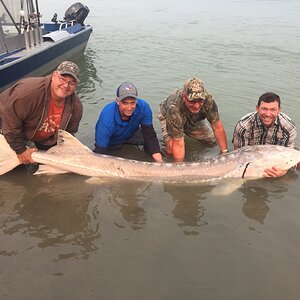 Sturgeon Fishing