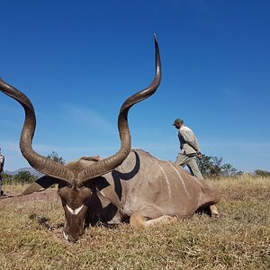 Kudu Hunting