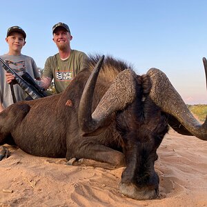 Black Wildebeest Hunt South Africa