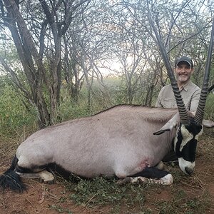 Gemsbok Hunt Limpopo South Africa