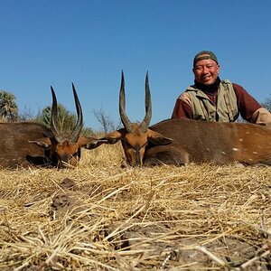 Bushbok Hunting South Africa