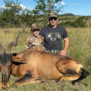 Hartebeest Hunting South Africa
