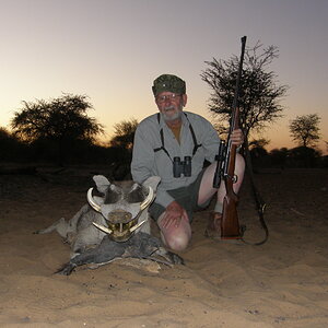 Warthog Hunting Namibia