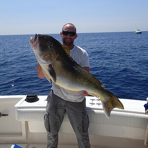 Tile Fish Offshore Fishing