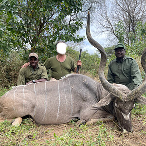 Kudu Hunt Zimbabwe