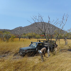 Tanzania Nature