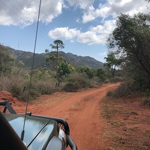 Limpopo Nature South Africa