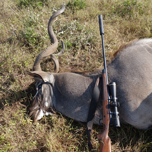 Kudu Hunting Eastern Cape South Africa