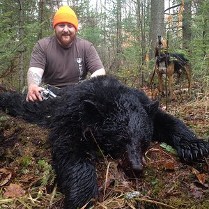 Black Bear Hunting